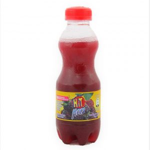 JUGO HIT MORA 300ML